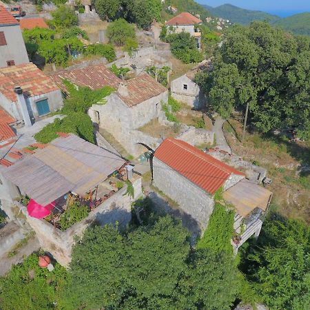 Cottage Melita The Apartment For Animal Lovers Babino Polje Ngoại thất bức ảnh