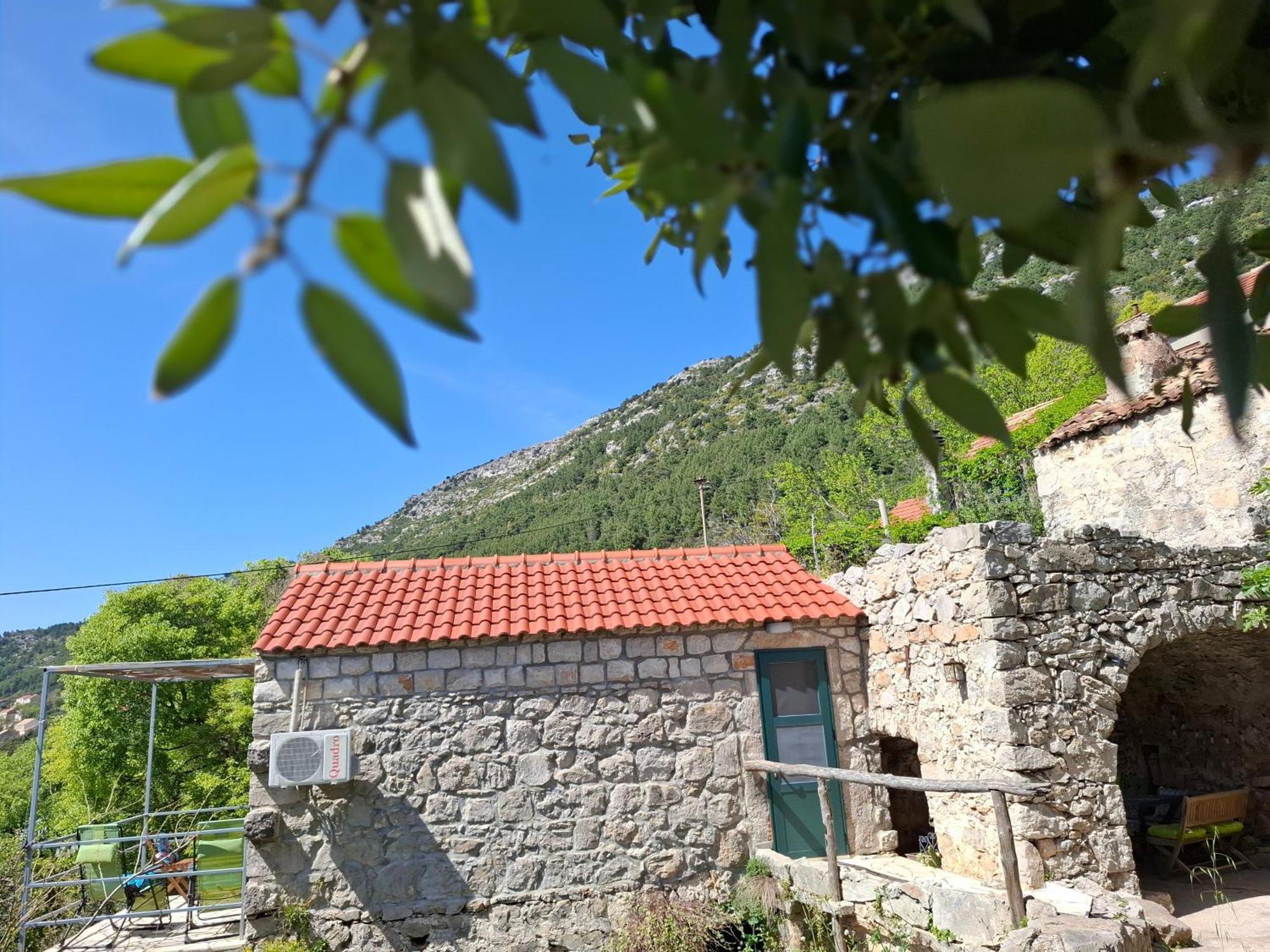 Cottage Melita The Apartment For Animal Lovers Babino Polje Ngoại thất bức ảnh