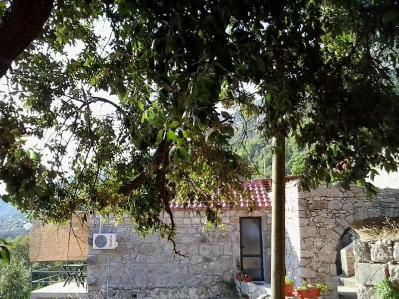 Cottage Melita The Apartment For Animal Lovers Babino Polje Ngoại thất bức ảnh