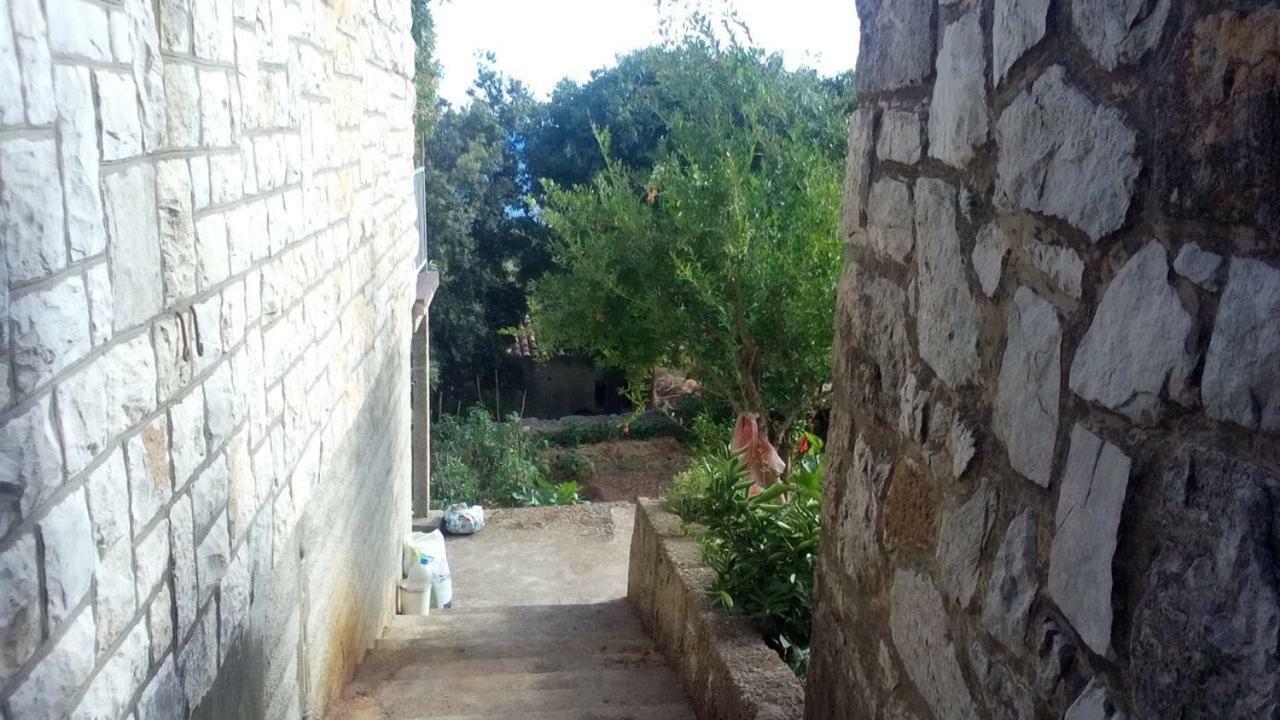 Cottage Melita The Apartment For Animal Lovers Babino Polje Ngoại thất bức ảnh