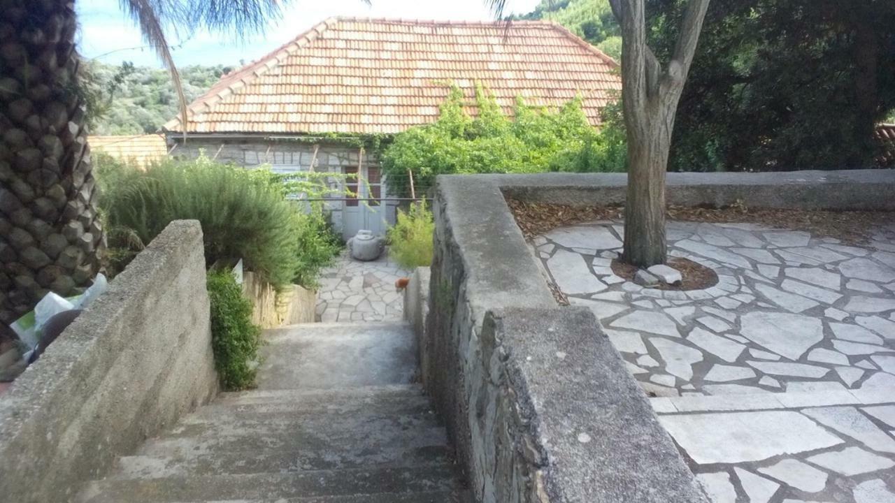 Cottage Melita The Apartment For Animal Lovers Babino Polje Ngoại thất bức ảnh