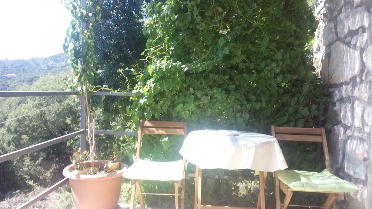 Cottage Melita The Apartment For Animal Lovers Babino Polje Ngoại thất bức ảnh