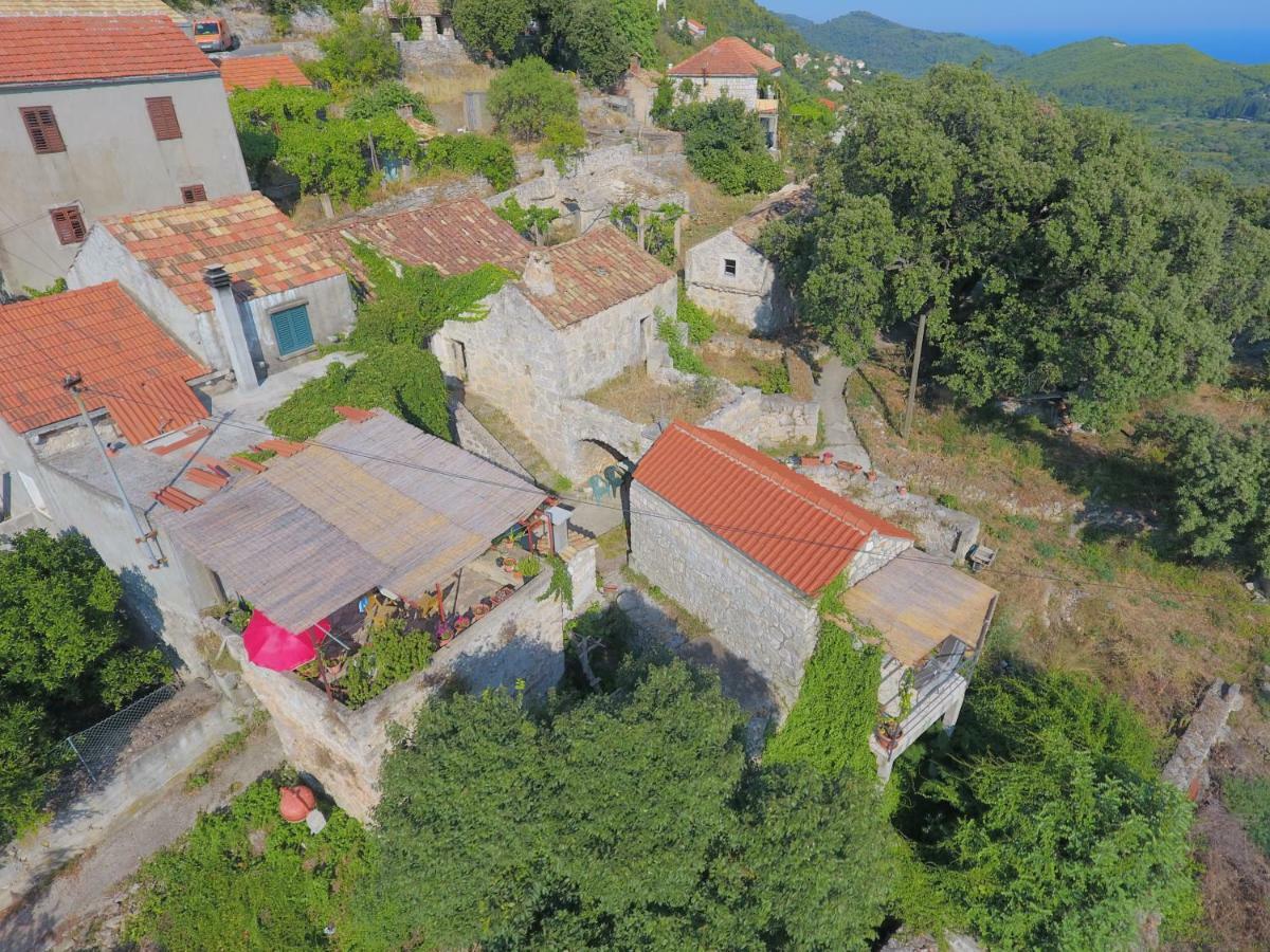 Cottage Melita The Apartment For Animal Lovers Babino Polje Ngoại thất bức ảnh