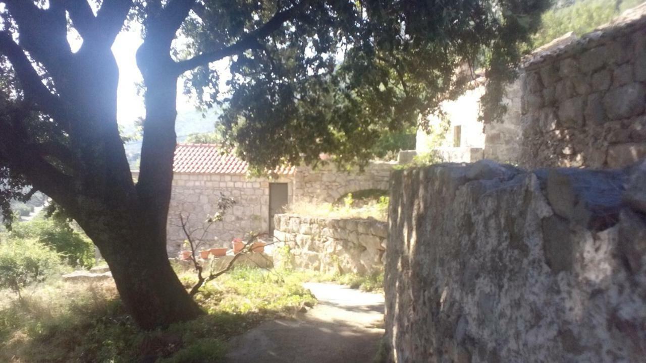 Cottage Melita The Apartment For Animal Lovers Babino Polje Ngoại thất bức ảnh