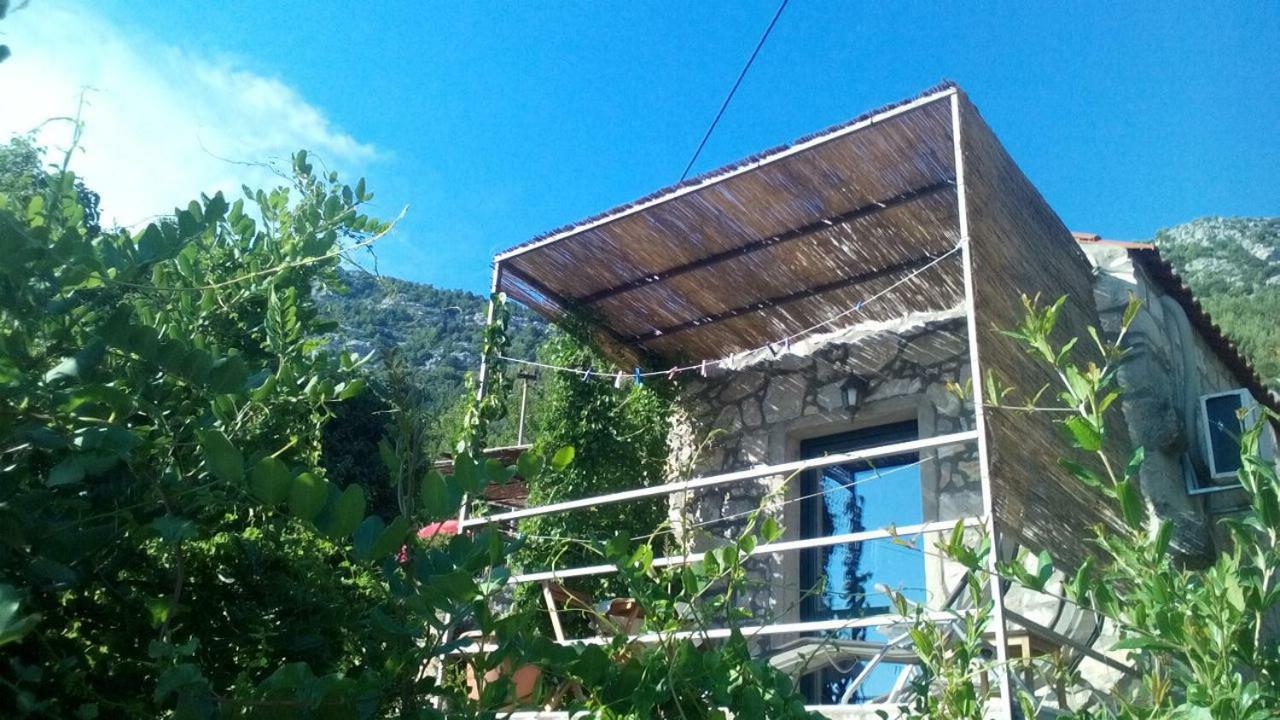 Cottage Melita The Apartment For Animal Lovers Babino Polje Ngoại thất bức ảnh