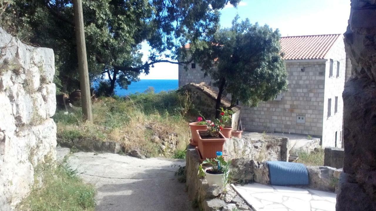 Cottage Melita The Apartment For Animal Lovers Babino Polje Ngoại thất bức ảnh