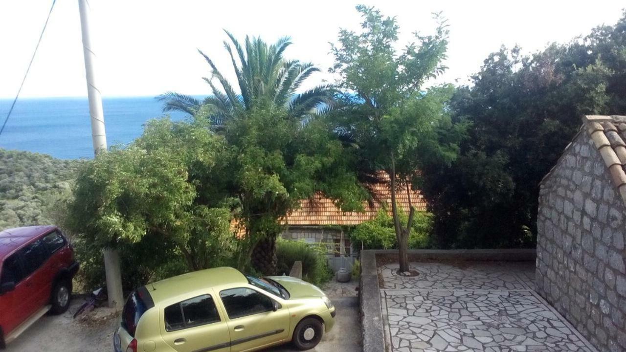 Cottage Melita The Apartment For Animal Lovers Babino Polje Ngoại thất bức ảnh