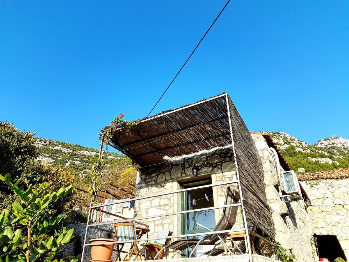 Cottage Melita The Apartment For Animal Lovers Babino Polje Ngoại thất bức ảnh