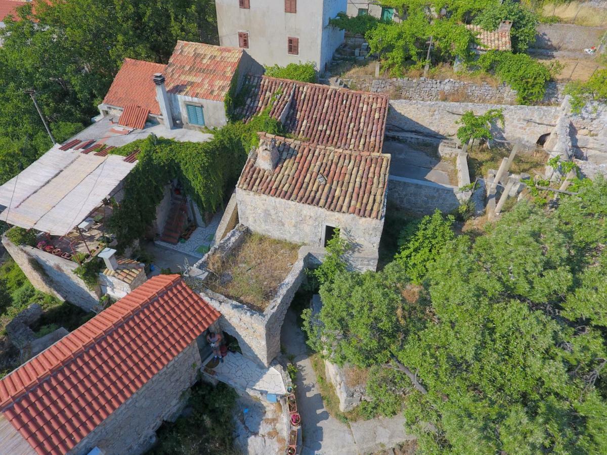Cottage Melita The Apartment For Animal Lovers Babino Polje Ngoại thất bức ảnh