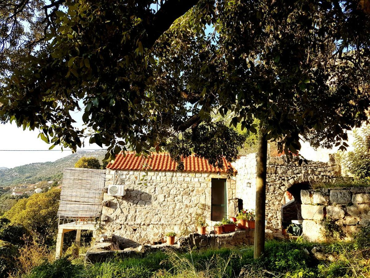 Cottage Melita The Apartment For Animal Lovers Babino Polje Ngoại thất bức ảnh