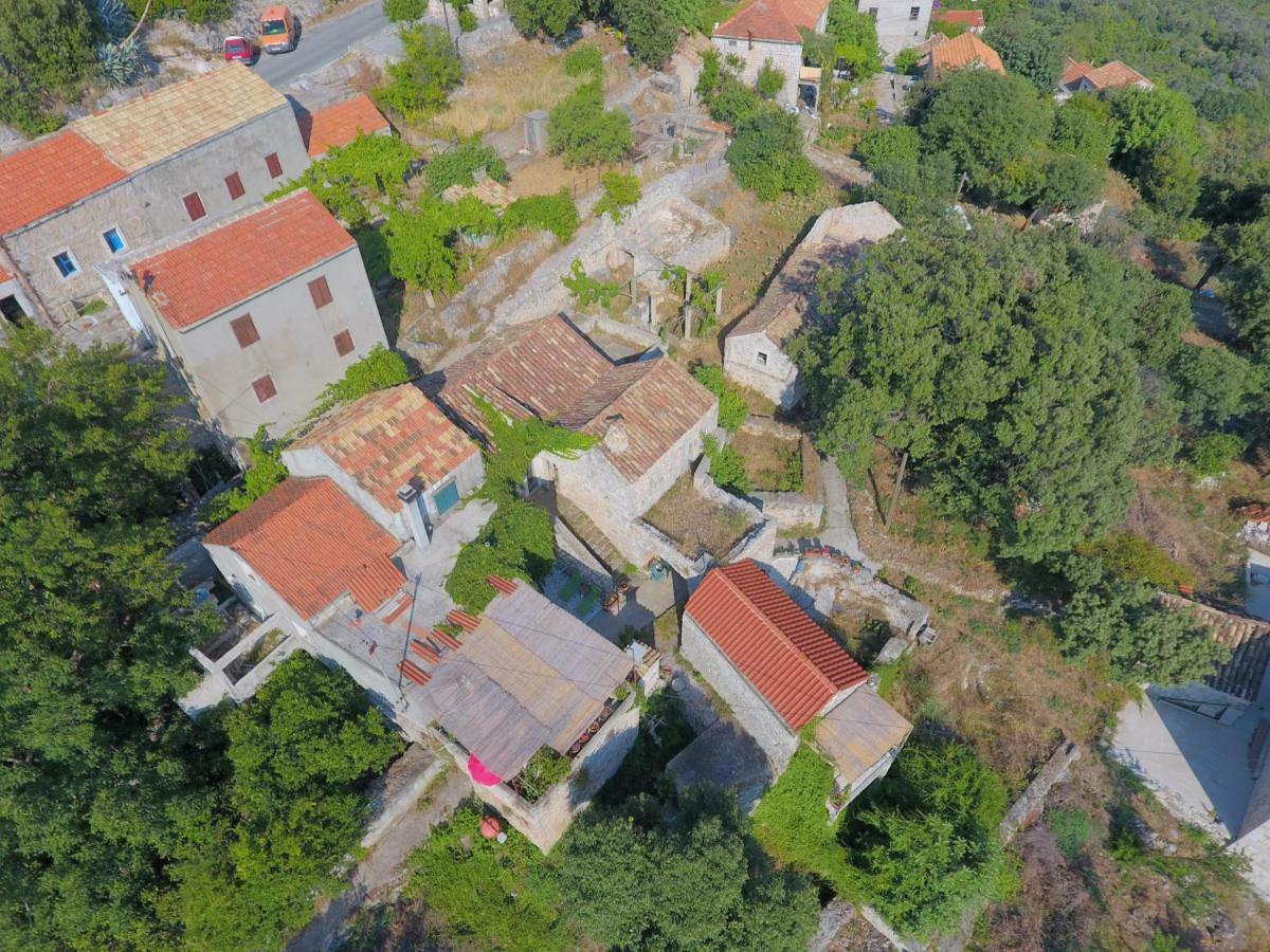 Cottage Melita The Apartment For Animal Lovers Babino Polje Ngoại thất bức ảnh